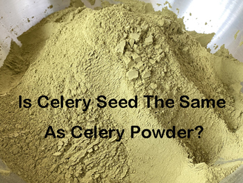 Is Celery Seed The Same As Celery Powder?